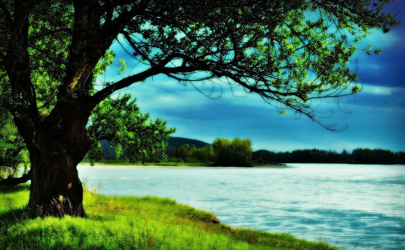 riverside, nature, river, sky, HD wallpaper