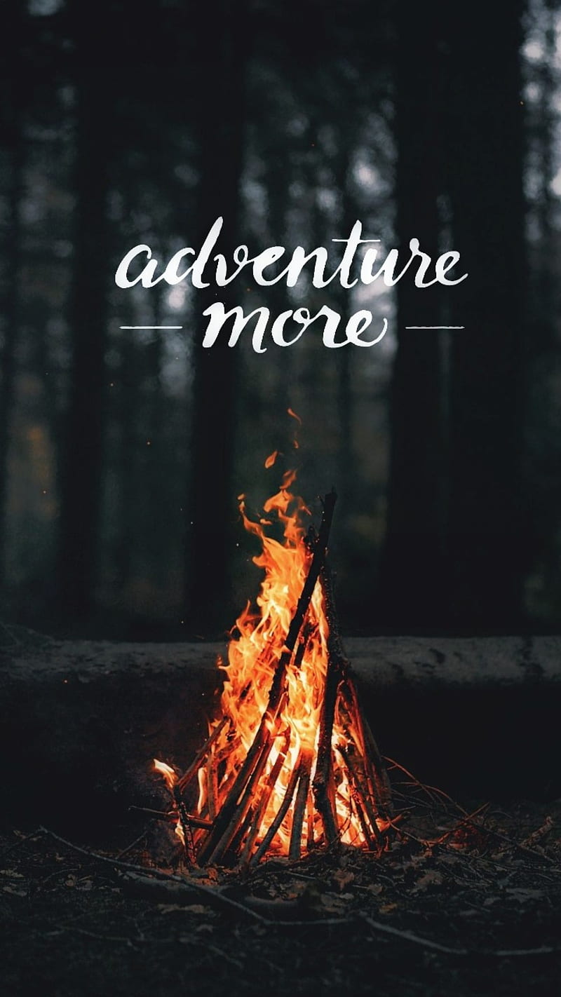 Traveler, adventure, aventura, phrases, quotes, travel, tumblr, viaje, witch, HD phone wallpaper