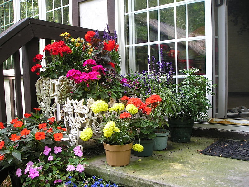 The back steps, gardens, summer, flowers, brecksville, HD wallpaper