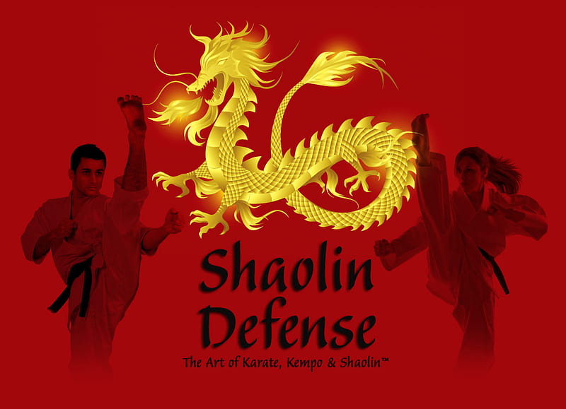 shaolin defense, none, HD wallpaper