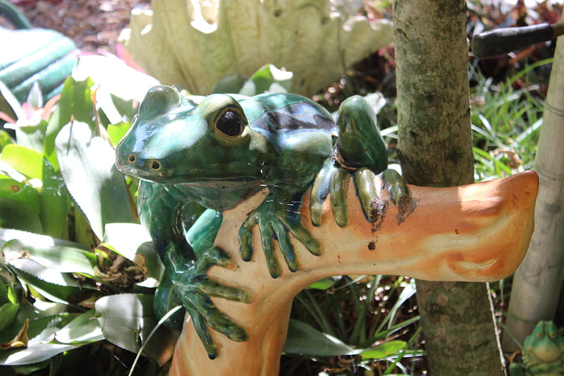 Frog ornament, frogs, pretty, big, green, large, garden, nature, huge, HD wallpaper
