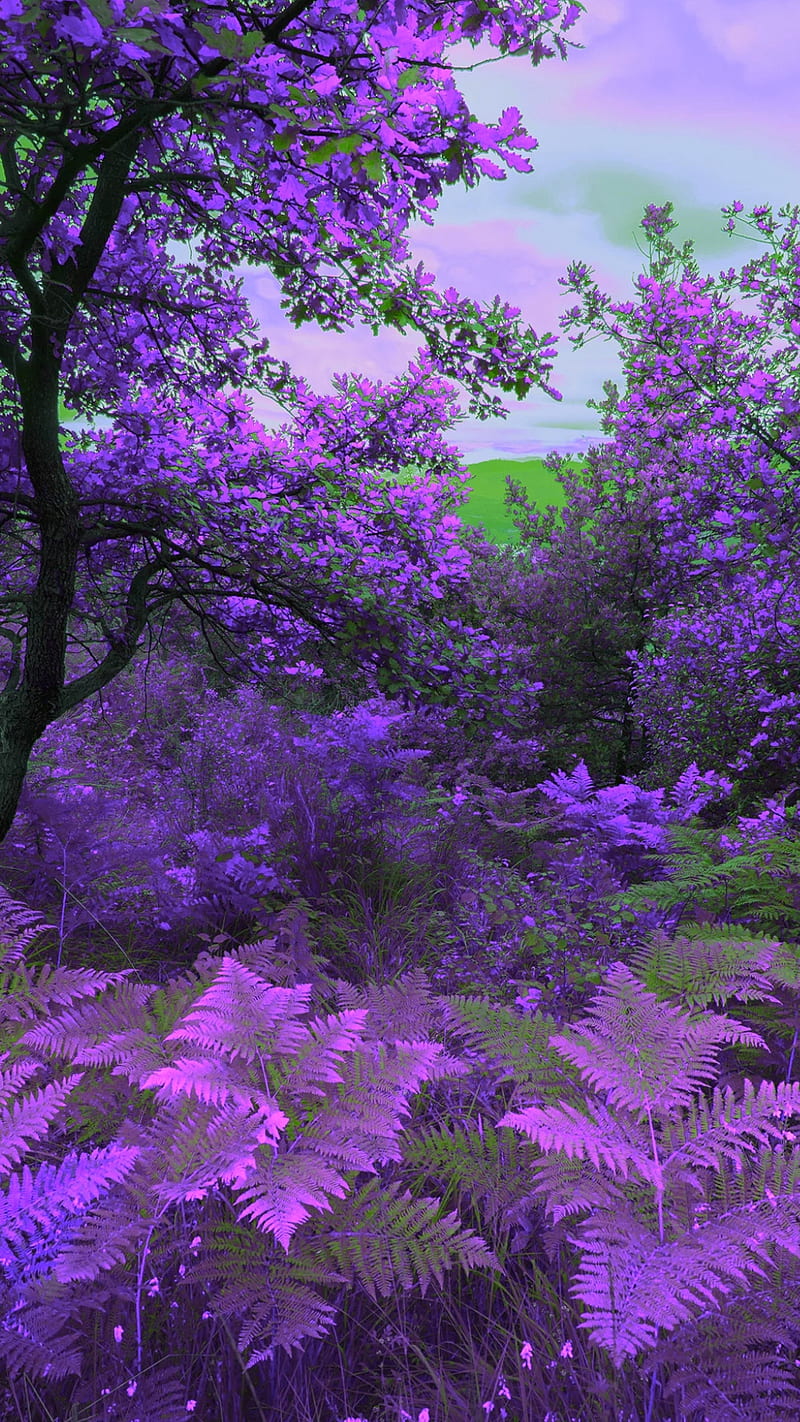 Nature colors, autumn, flowers, green, landscape, leaves, nature, pink, purple, trees, HD phone wallpaper