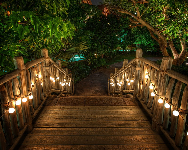 Garden, bridge, candle, forest, light, wooden, HD wallpaper