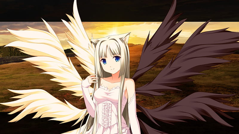 Wallpaper ID 625988  one person fashion young adult female anime  angel sunlight character freedom sky outdoors animal wildlife  flying animals in the wild Tachibana Kanade free download