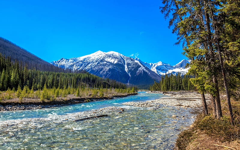 Canadian Rockies, Vermilion River, mountain river, morning, spring, mountain landscape, British Columbia, Canada, HD wallpaper