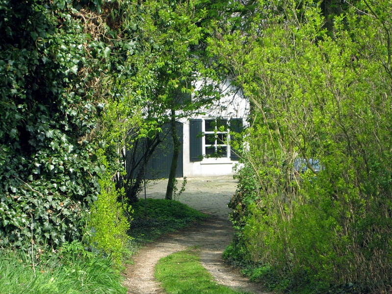 Casa escondida, arquitectura, árbol, casa, verde, casas, camino, blanco,  Fondo de pantalla HD | Peakpx