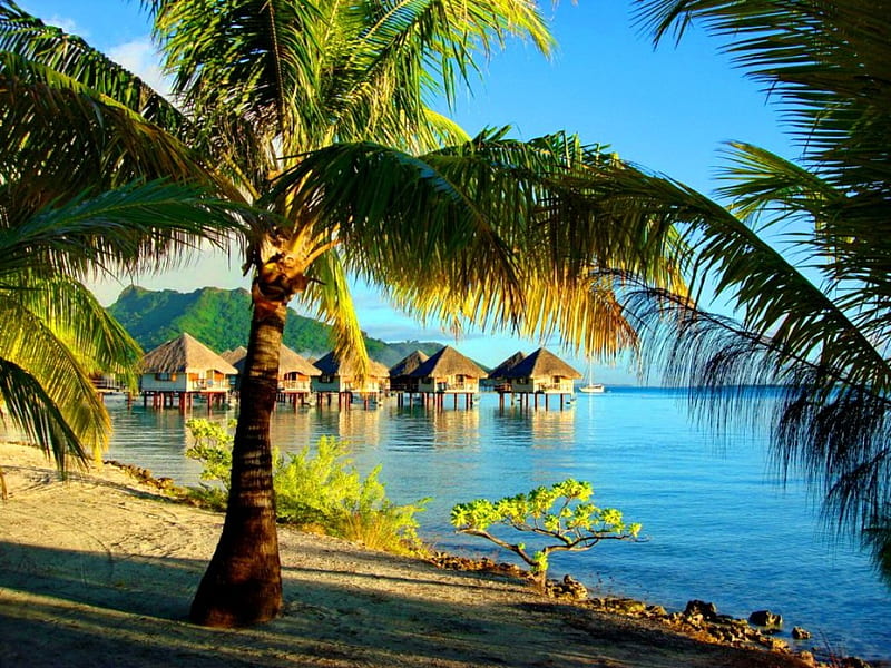 Bora Bora resort, pretty, resort, shore, sun, sunny, bonito, Polynesia, sea, hotels, beach, nice, sand, Bora Bora, destination, reflection, rest, huts, vacation, exotic, lovely, ocean, waves, sky, trees, palms, water, island, nature, relaxing, HD wallpaper