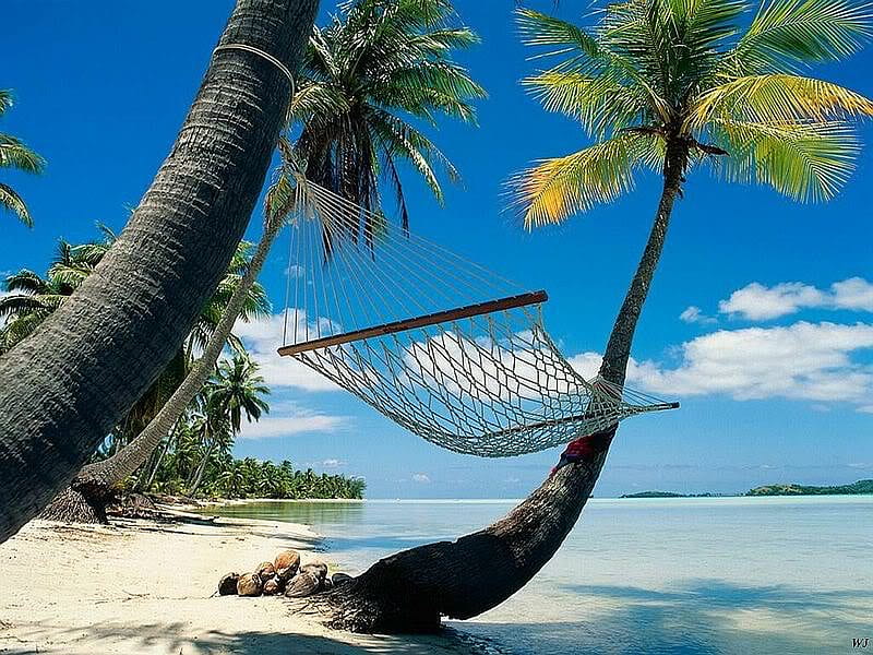 Just Relax, beach, hammock, view, palm trees, HD wallpaper