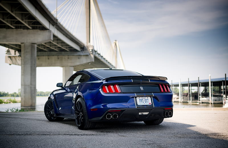 shelby mustang, mustang, car, muscle car, blue, back view, HD wallpaper