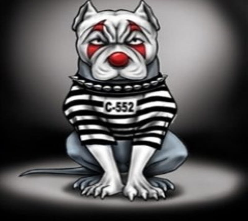 Prison Dog, cartoon, clown, new, HD wallpaper
