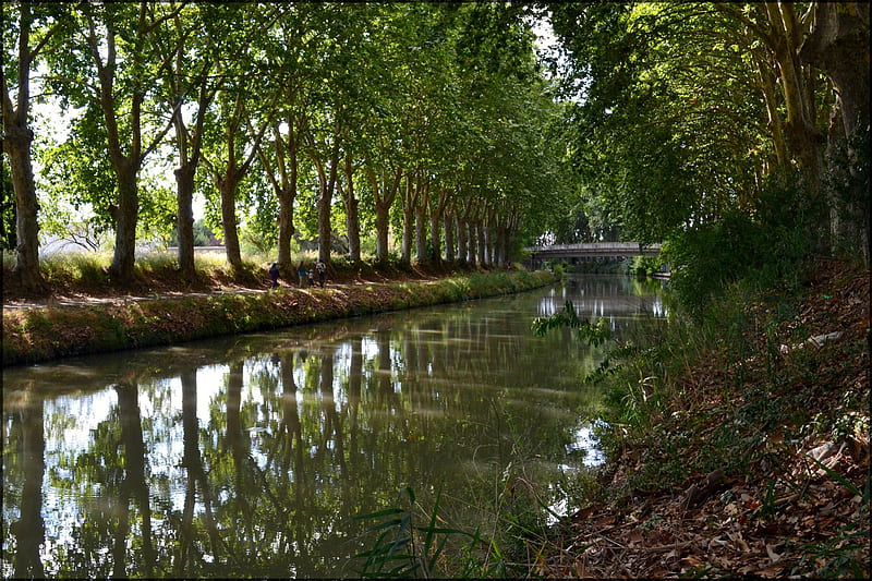 A Walk by the River, Walking, Trees, Bridges, Rivers, Reflections, Nature, HD wallpaper