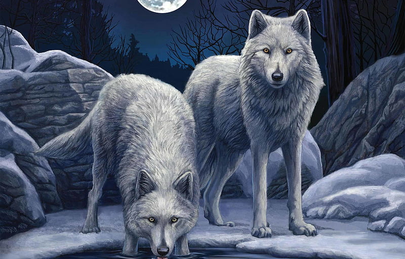 Wolves, art, frumusete, anne stokes, luminos, lisa parker, fantasy, moon, lup, wolf, HD wallpaper