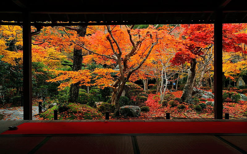 The 10 cattle tribunal Hongye-Enkoji Temple Autumn, HD wallpaper