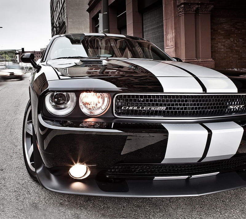 Dodge, auto, awesome, car, challenger, cool, speed, sport, HD wallpaper