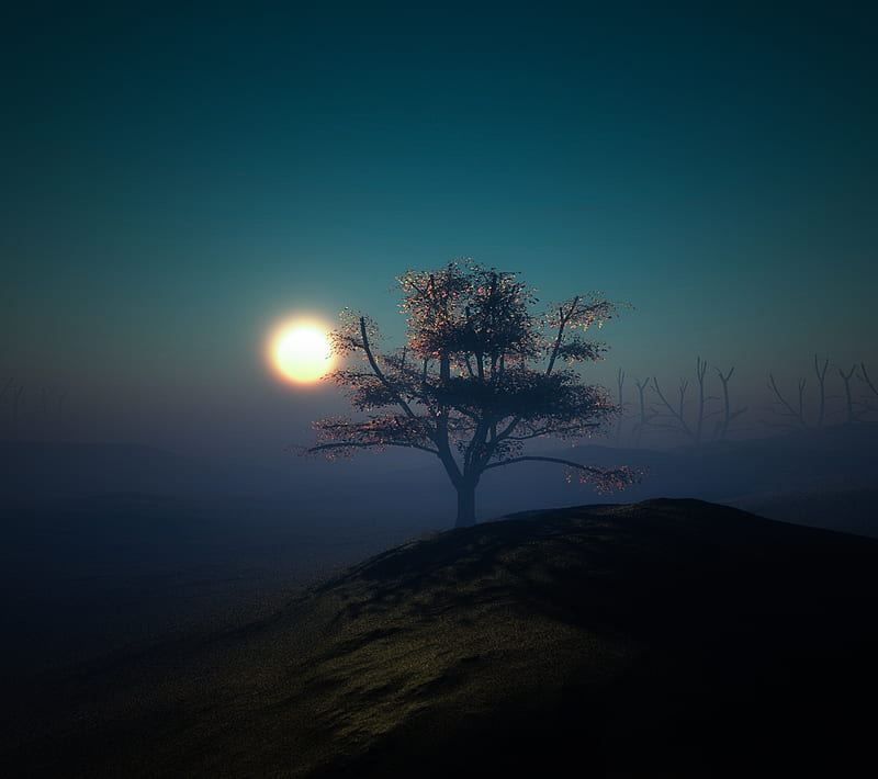 NIGHT, fog, moon, sky, sun, tree, HD wallpaper