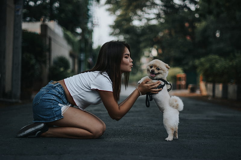 woman petting Pomeranian dog, HD wallpaper