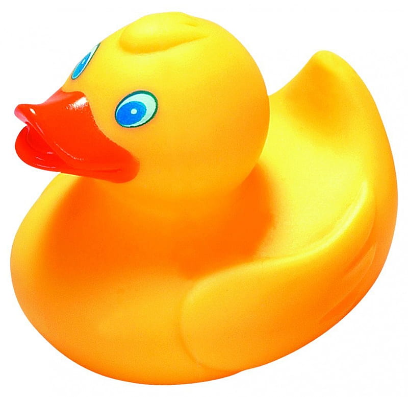 Rubber duck, bath, fun, rubber, duck, HD wallpaper