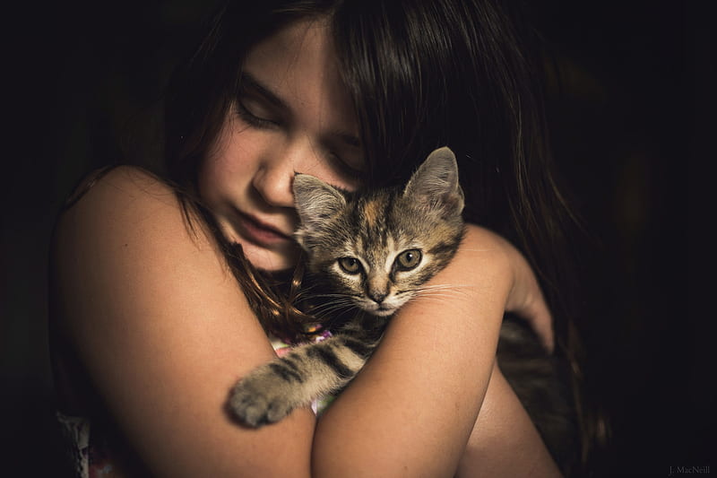 Cute Little Girl With Kitten, little-girl, cute, kitten, cat, animals, HD wallpaper