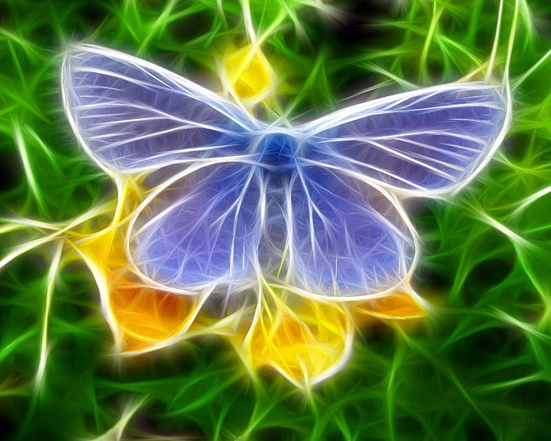 Butterfly, 3d-color-funny-green-animals-funny-blue-animals-butterfly, HD  wallpaper | Peakpx