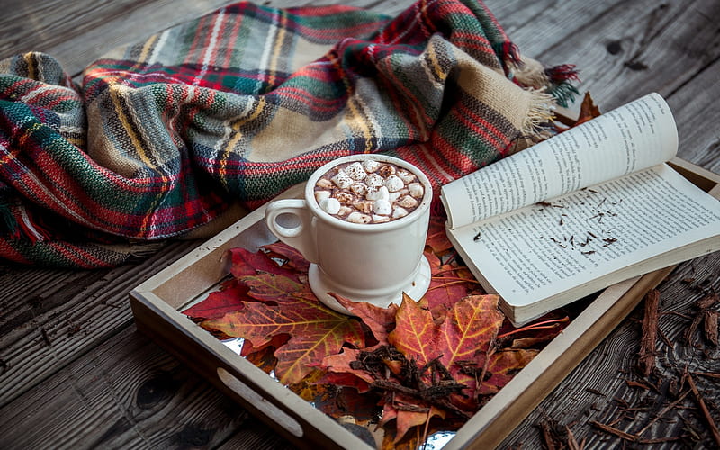 Autumn Book And Hot Chocolate, Autumn, Chocolate, Hot, Book, HD wallpaper