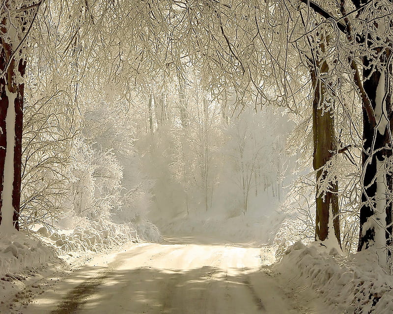 Winter Road, snow, winter, HD wallpaper | Peakpx