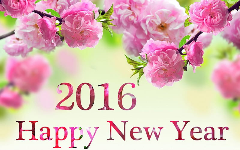Happy New Year...2016, newyear, flowers, new year, greetings, cherry, HD  wallpaper | Peakpx