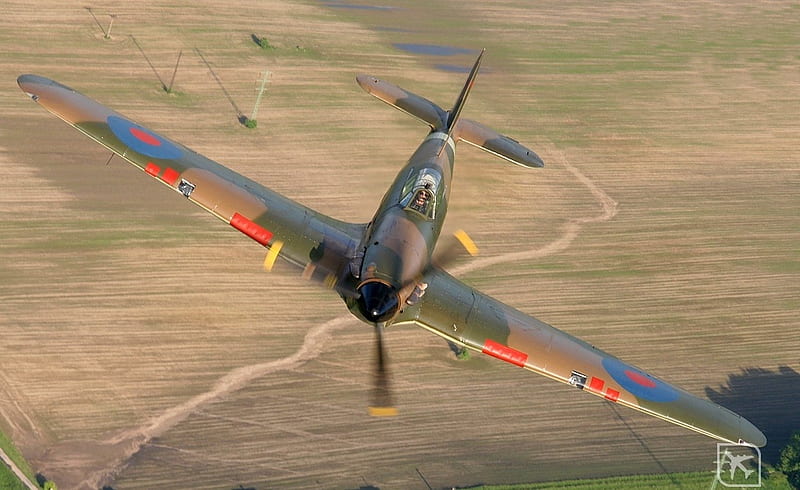 Hawker Hurricane Mk XII, raf, hurricane, force, hawker, royal, aircraft, logo, air, wwii, front, HD wallpaper