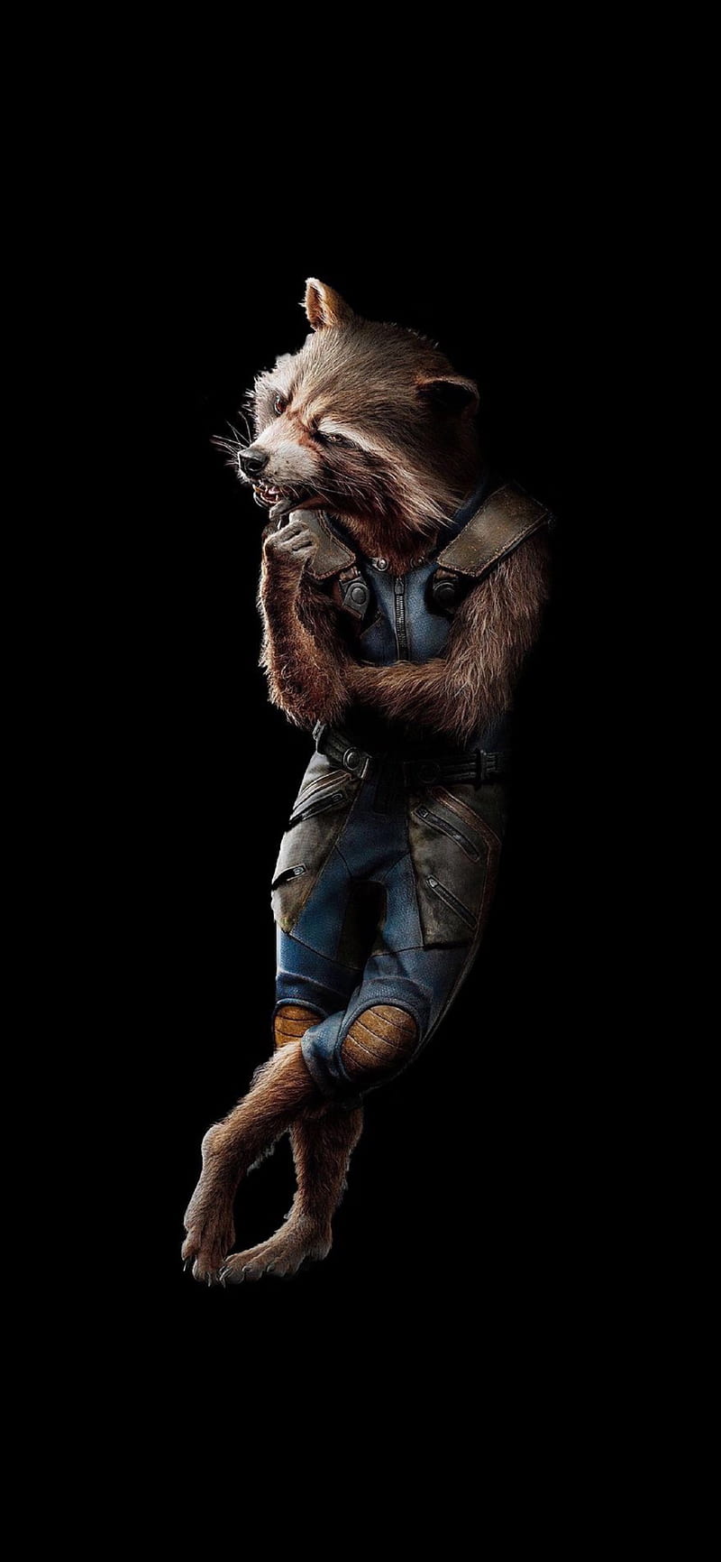 Rocket Raccoon Evolution Guardians of the Galaxy 3 4K Wallpaper iPhone HD  Phone 2971k