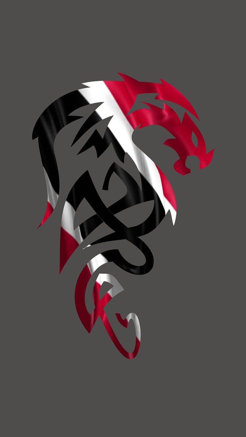 trini dragon 2, abstrat, cool, flag, tobago, trinidad, HD phone wallpaper