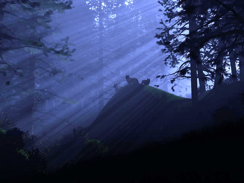Wolves in the mist, beams, moonlight, cliff, trees, blue, night, three wolves, HD wallpaper