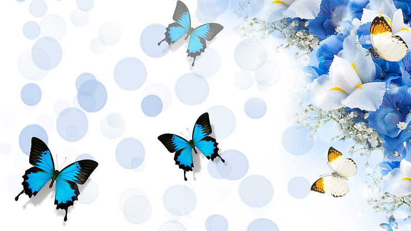 Blue and Beautiful, orchis, butterflies, spring, floral, babys breath, bokeh, summer, iris, blue, HD wallpaper