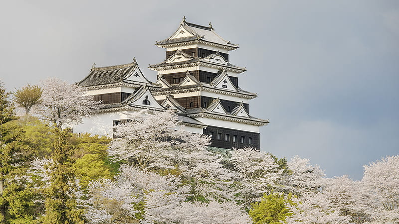 Ozu Castle breathes new life into fading rural Japan town, HD wallpaper