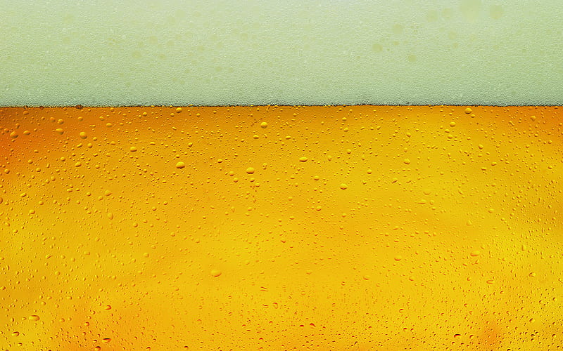 beer texture, macro, liquid textures, beer foam, white foam, drinks texture, beer background, beer, light beer, beer with foam texture, HD wallpaper
