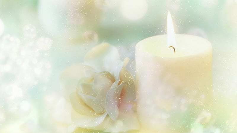 Candle and Rose, candle, Christmas, glow, rose, New Year, soft, sparkle, sprinkle, flowers, pastel, star dust, celebrate, HD wallpaper