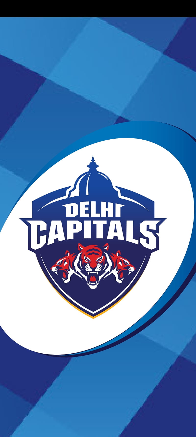 Delhi Capitals, dream11 ipl, HD phone wallpaper | Peakpx