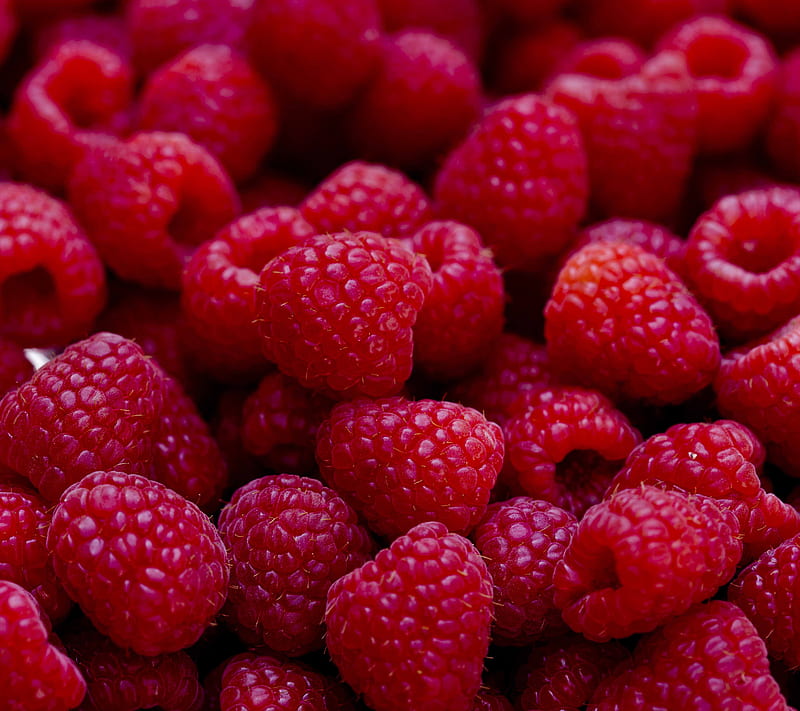 Raspberries, fresh, fruit, red, HD wallpaper