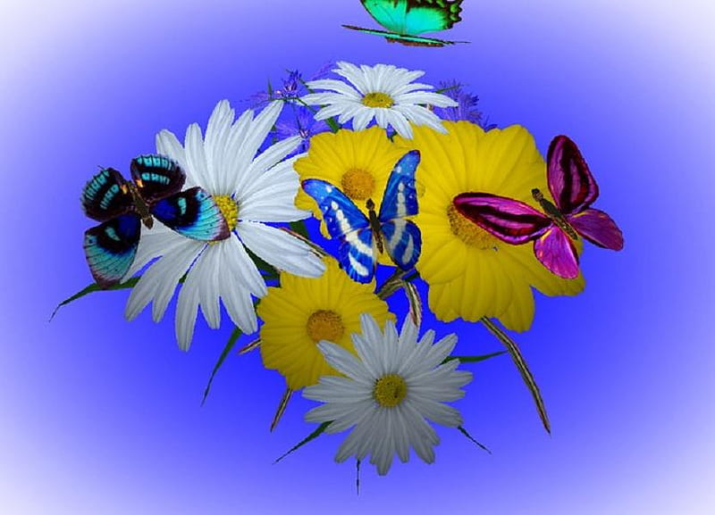 Margaritas y alas, margaritas, blac, negras, amarillas, mariposas, verdes,  flores, Fondo de pantalla HD | Peakpx