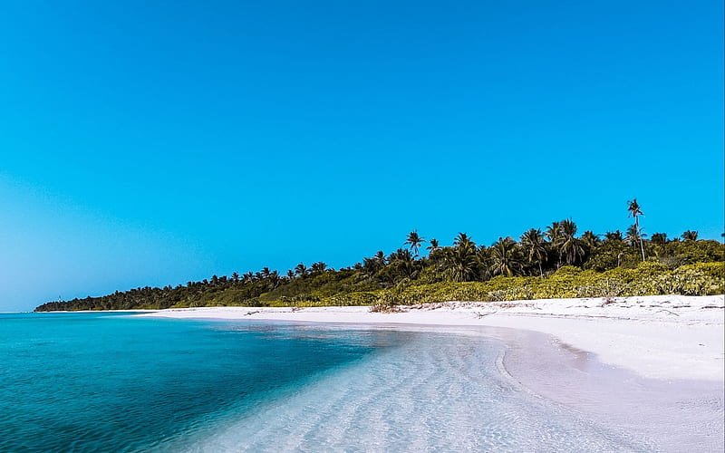 Tropical Beach, sand, nature, tropical, beaches, HD wallpaper