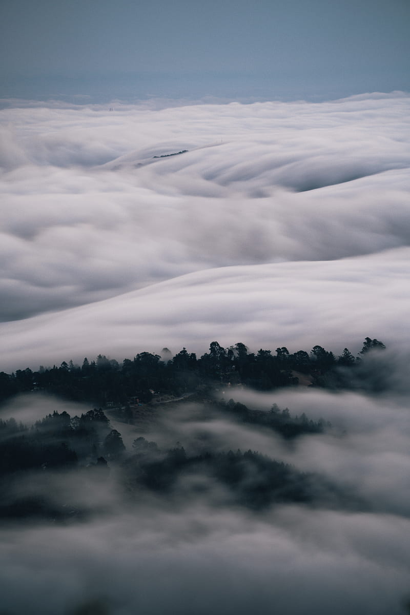 trees, fog, clouds, distance, HD phone wallpaper