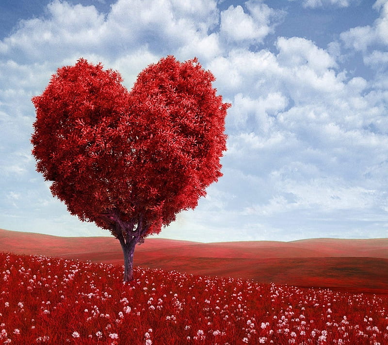 RED HEART TREE, nbgf, HD wallpaper