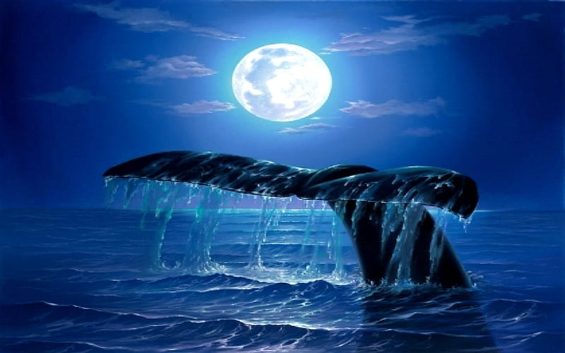 NIGHT DIVE, moon, sky, night, ocean, HD wallpaper