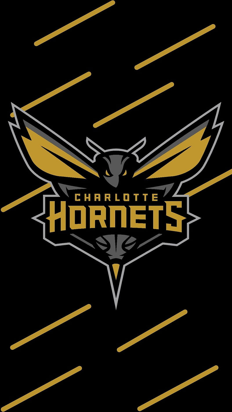 Hornets ( Golden L), Charlotte Hornets, Basquete, Símbolo, HD phone wallpaper