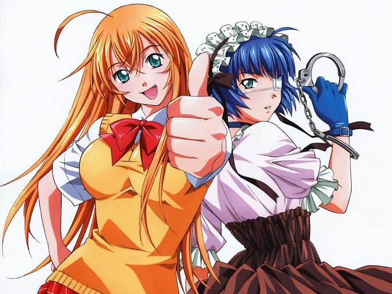 Anime Waifus on X: Hakufu 🧡 Anime: Shin Ikkitousen   / X