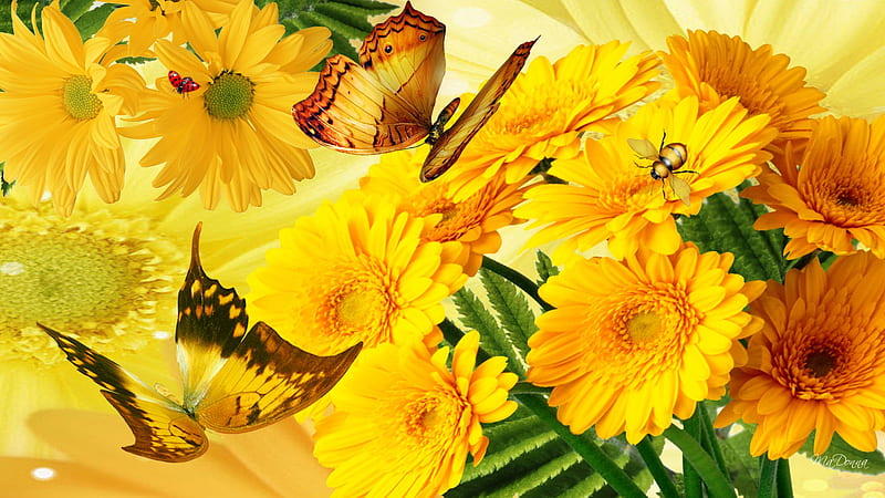 Golden Glory, astor, bumble bee, yellow, sunny, butterflies, spring, gold, bright, summer, gerbera, flowers, lady bug, daisy, HD wallpaper