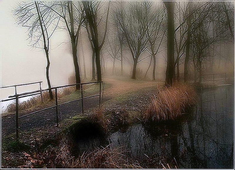 Last autumn days, bridge, muted light, small river, mist, barren trees, HD wallpaper