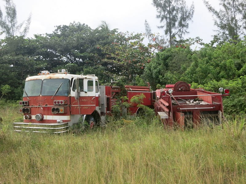 abandon fire trucks, fields, abandon, truck, fire truck, HD wallpaper