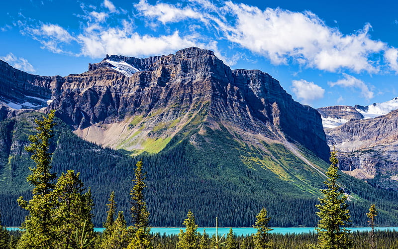Banff National Park, R, summer, forest, mountains, Canadian Rockies, beautiful nature, Canada, North America, HD wallpaper