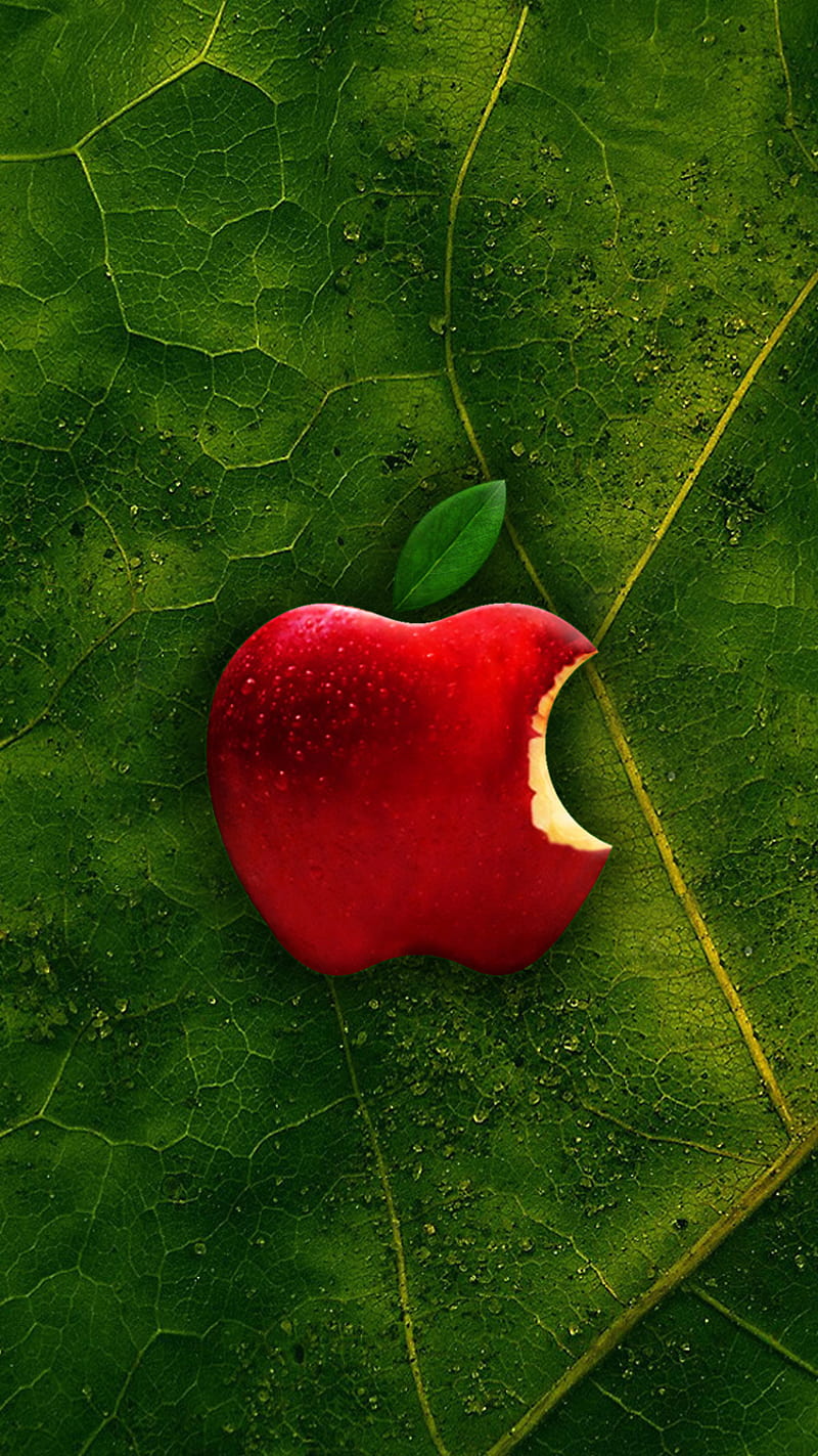 Apple, art, green, leaf, logo, red apple, HD phone wallpaper