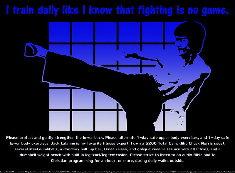 Fighting is no Game 4, jack lalanne, natural high, positive addiction, health, christian, religious, fitness, exercise, martial arts, happiness, self-discipline, fun, discipline, cool, confidence, bruce lee, walking, self-control, wisdom, HD wallpaper