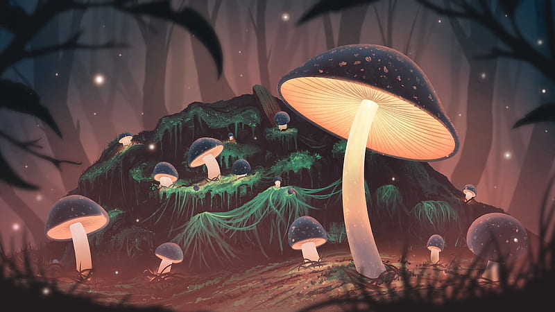 mushrooms, glow, light, forest, art, HD wallpaper